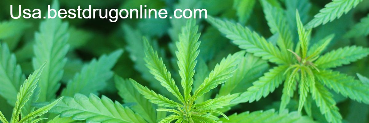 usa.bestdrugonline.com